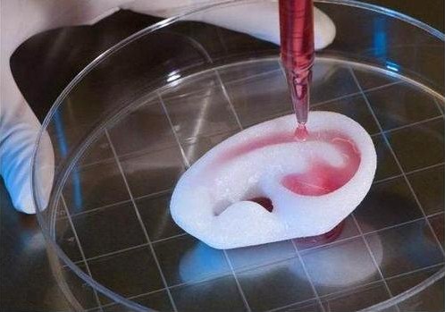 Le bioprinting prend vie!