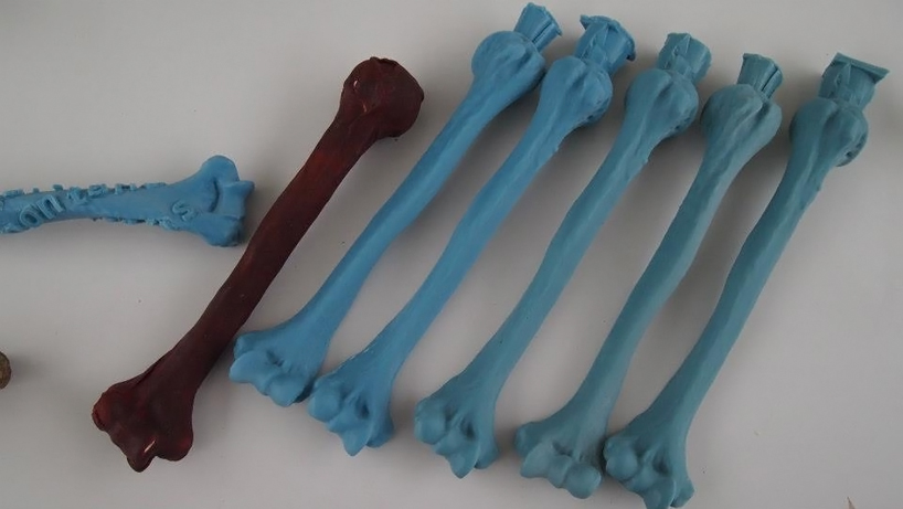 Les imprimantes 3D tombent sur un os