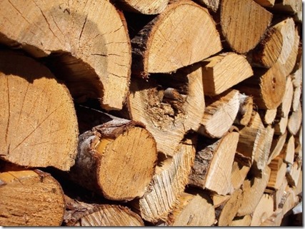 Innovation : une future encre fabriquée à partir du bois !