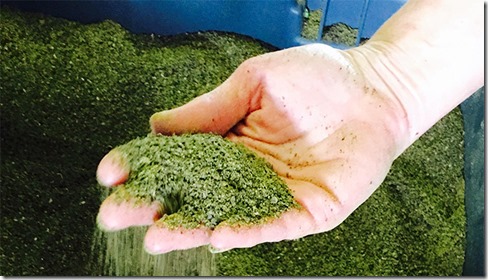 Le chanvre : le nouvel atout de l’impression 3D ?