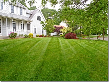 Kelly's landscaping